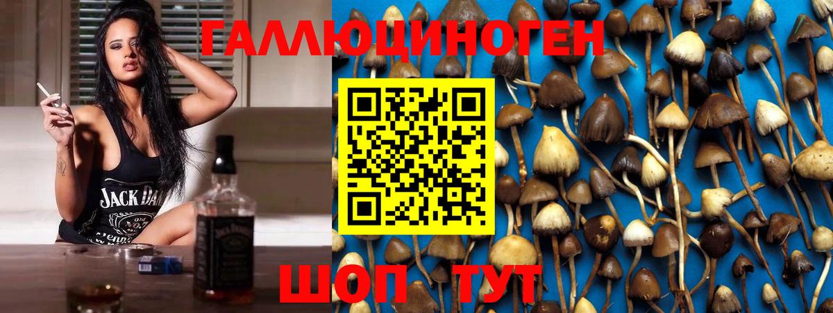 Псилоцибиновые грибы Magic Shrooms  Вход с VPN  Ногинск 