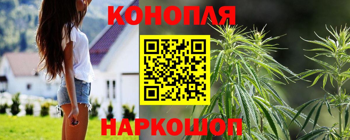 Канабис THC 21%  Марихуана марихуана  Шишки марихуана семена  Ногинск  Вход с VPN 